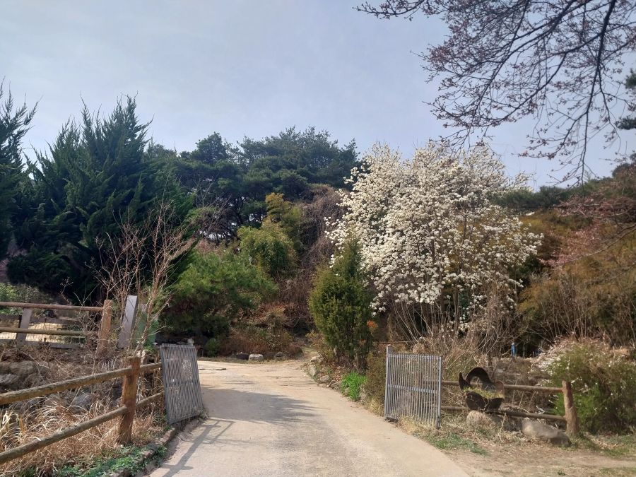정심입구.jpg